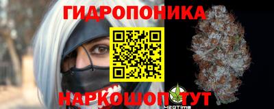 круглые Новодвинск