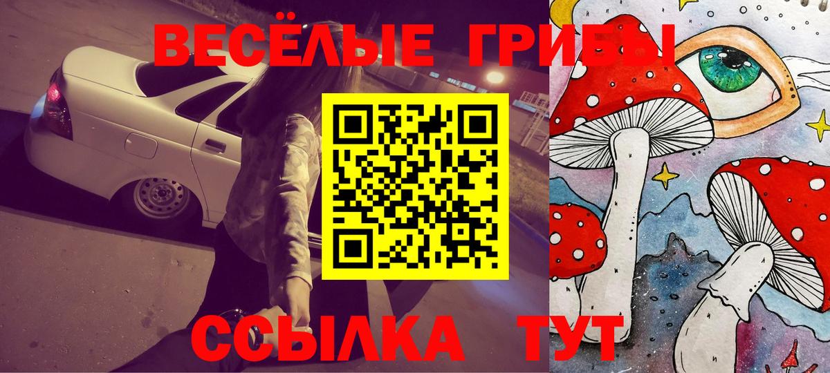 Павловский Посад  где можно купить наркотик  Вход с VPN  Псилоцибиновые грибы GOLDEN TEACHER  Галлюциногенные грибы прущие грибы 
